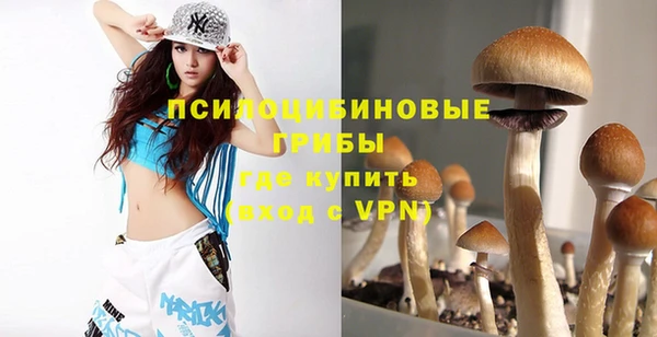мдпв Вязники