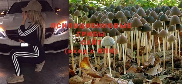 трава Волосово