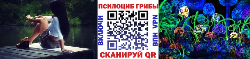 Псилоцибиновые грибы Cubensis  цены наркотик  Сыктывкар 